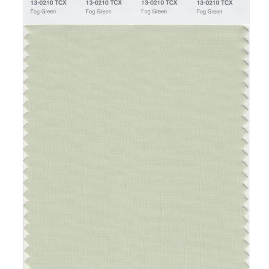 Pantone 13-0210 TCX Swatch Card Fog Green