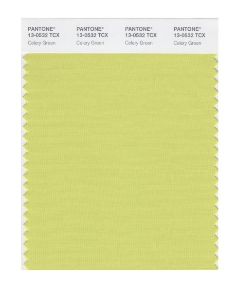 Pantone 13-0532 TCX Swatch Card Celery Green
