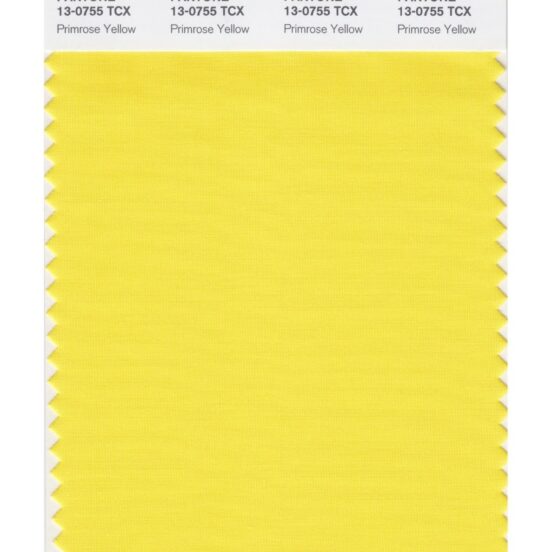 Pantone 13-0755 TCX Swatch Card Primrose Yellow