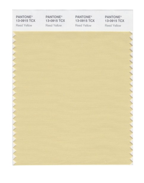 Pantone 13-0915 TCX Swatch Card Reed Yellow