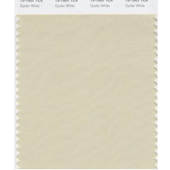 Pantone 13-1007 TCX Swatch Card Oyster White