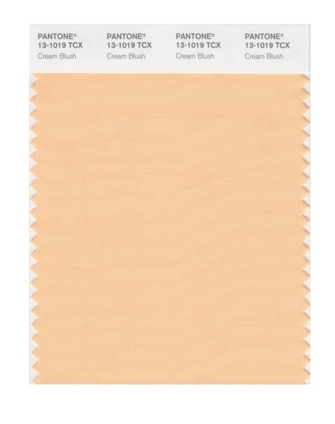 Pantone 13-1019 TCX Swatch Card Cream Blush