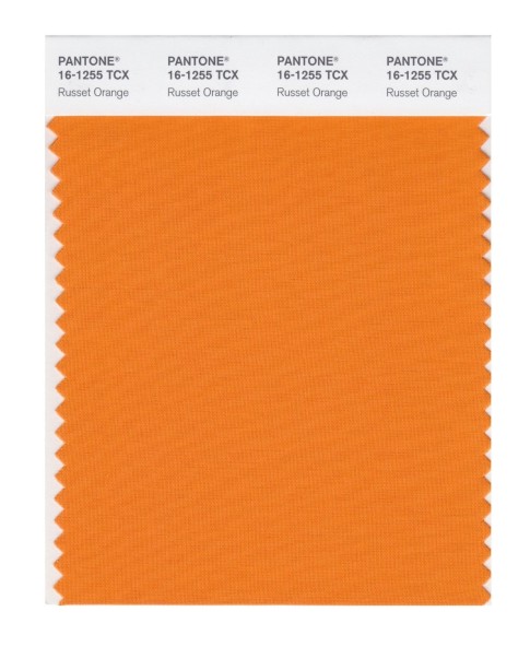 Pantone 16-1255 TCX Swatch Card Russett Orange