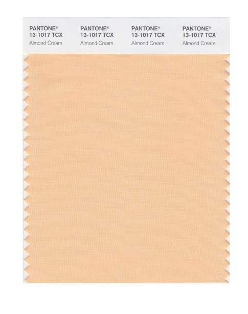 Pantone 13-1017 TCX Swatch Card Almond Cream