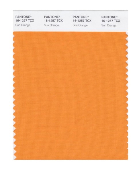 Pantone 16-1257 TCX Swatch Card Sun Orange