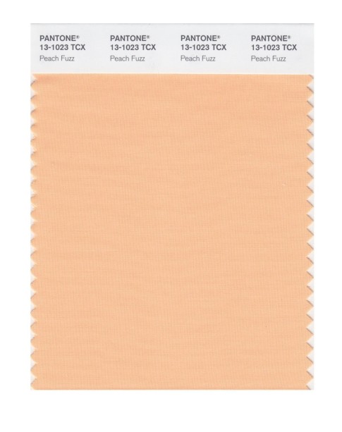 Pantone 13-1023 TCX Swatch Card Peach Fuzz