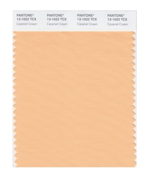 Pantone 13-1022 TCX Swatch Card Caramel Cream