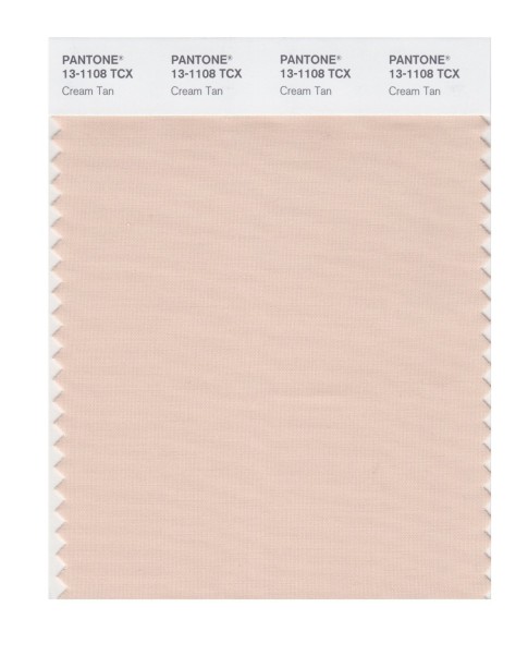 Pantone 13-1108 TCX Swatch Card Cream Tan
