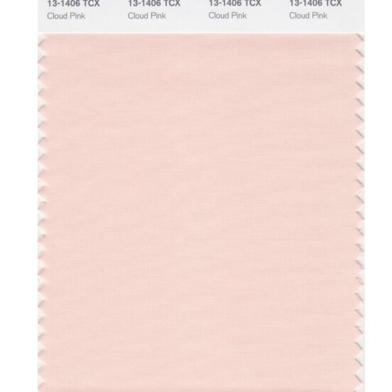 Pantone 13-1406 TCX Swatch Card Cloud Pink