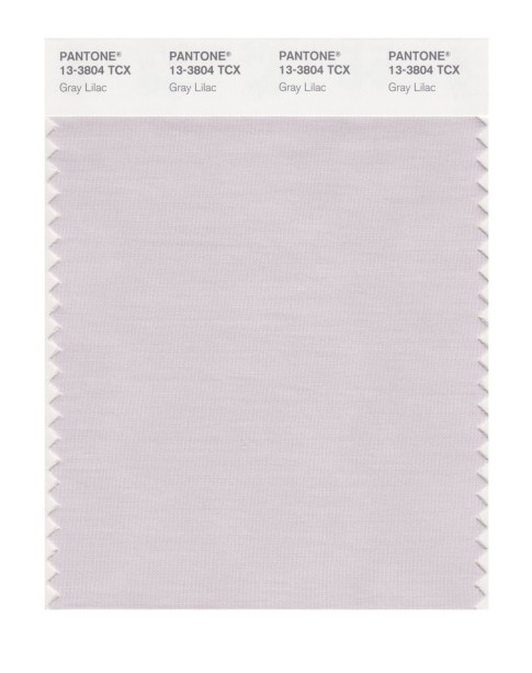 Pantone 13-3804 TCX Swatch Card Gray Lilac
