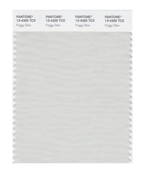 Pantone 13-4305 TCX Swatch Card Foggy Dew