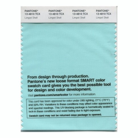 Pantone 13-4810 TCX Swatch Card Limpet Shell