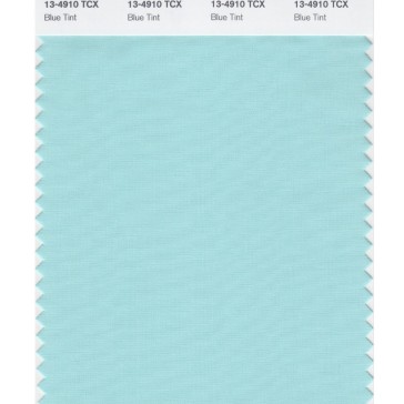 Pantone 13-4910 TCX Swatch Card Blue Tint