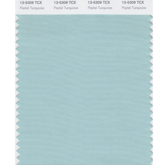 Pantone 13-5309 TCX Swatch Card Pastel Turquoise