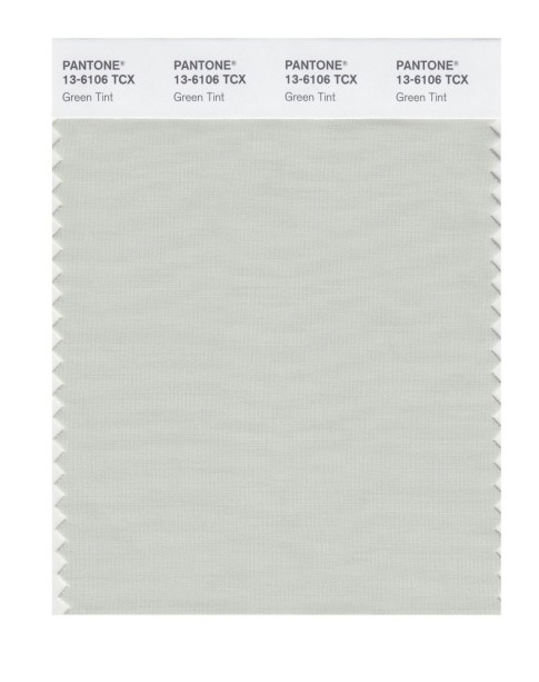 Pantone 13-6106 TCX Swatch Card Green Tint
