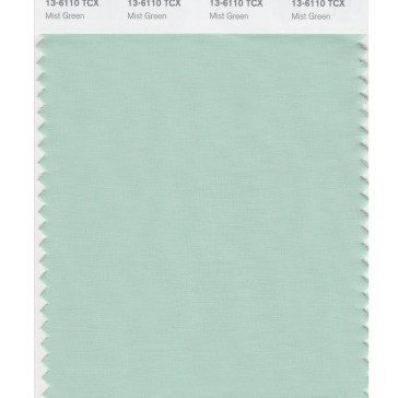 Pantone 13-6110 TCX Swatch Card Mist Green