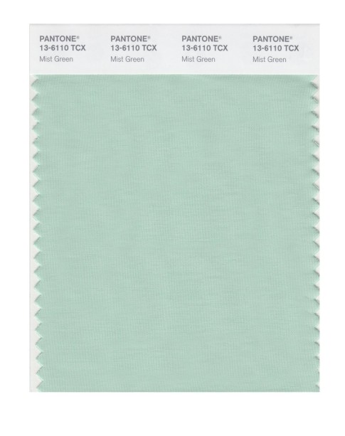 Pantone 13-6110 TCX Swatch Card Mist Green