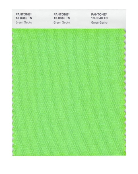 Pantone 13-0340 TN Green Gecko Nylon Brights Swatch Card