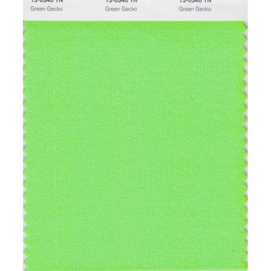 Pantone 13-0340 TN Green Gecko Nylon Brights Swatch Card