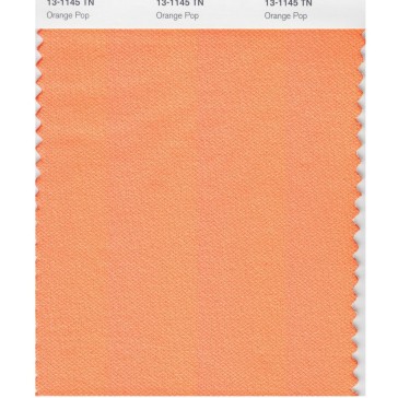 Pantone 13-1145 TN Orange Pop Nylon Brights Swatch Card