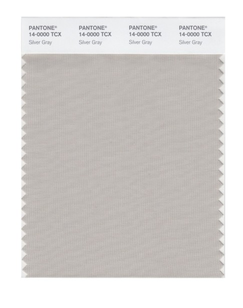 Pantone 14-0000 TCX Swatch Card Silver Gray