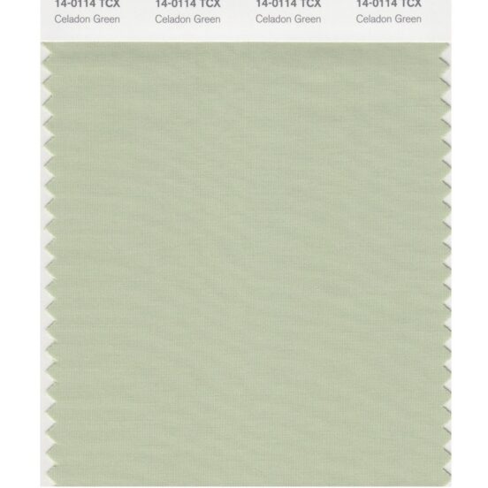 Pantone 14-0114 TCX Swatch Card Celadon Green