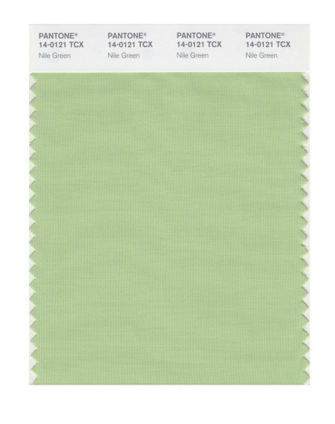 Pantone 14-0121 TCX Swatch Card Nile Green