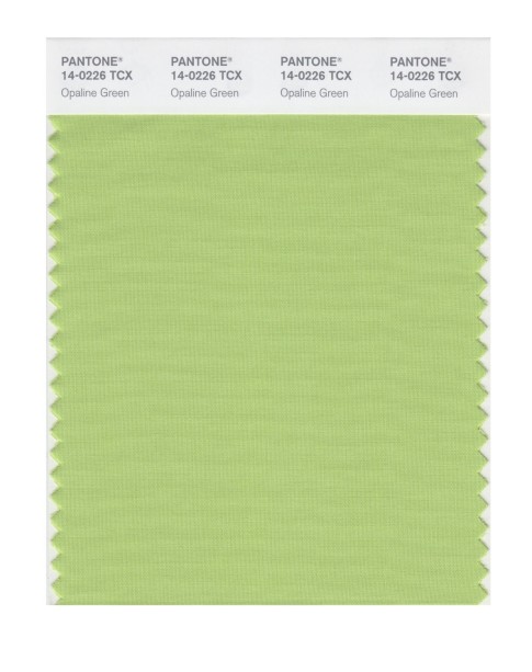 Pantone 14-0226 TCX Swatch Card Opaline Green