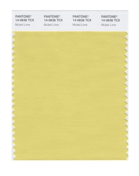 Pantone 14-0636 TCX Swatch Card Muted Lime
