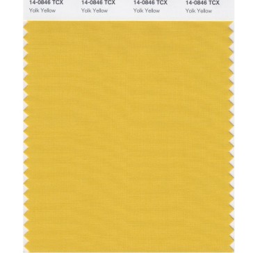 Pantone 14-0846 TCX Swatch Card Yolk Yellow