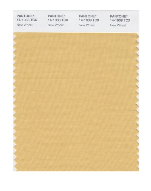 Pantone 14-1038 TCX Swatch Card New Wheat