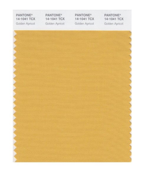 Pantone 14-1041 TCX Swatch Card Golden Apricot