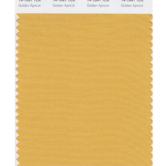 Pantone 14-1041 TCX Swatch Card Golden Apricot