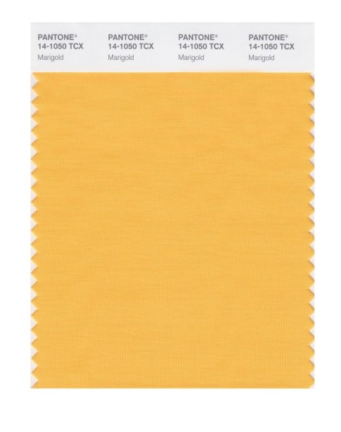Pantone 14-1050 TCX Swatch Card Marigold