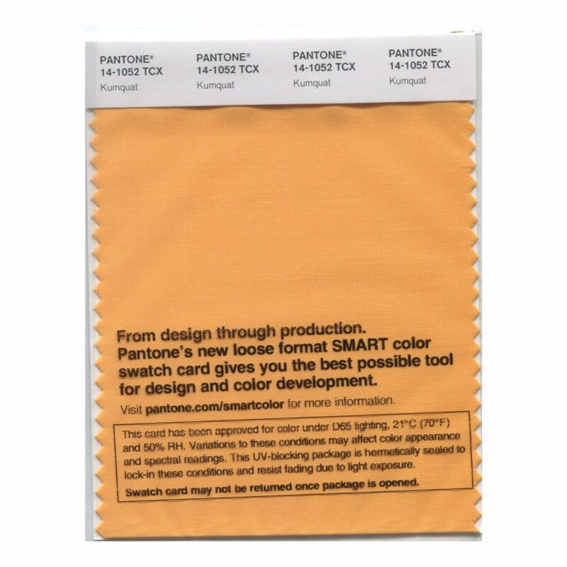 Pantone 14-1052 TCX Swatch Card Kumquat