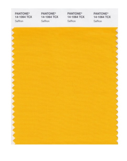 Pantone 14-1064 TCX Swatch Card Saffron