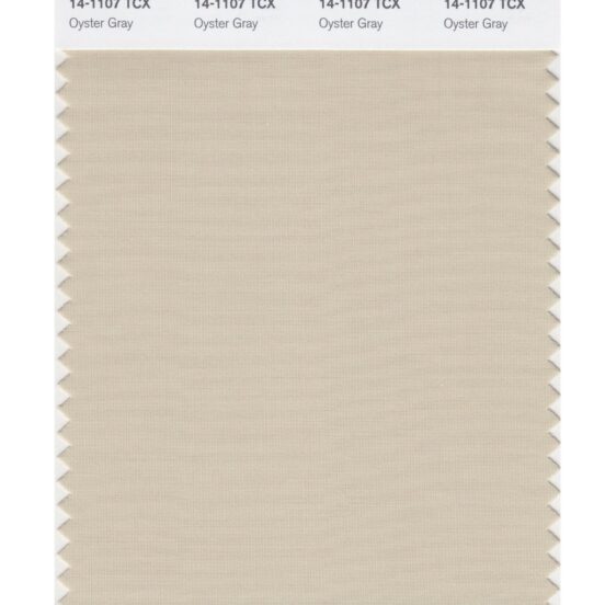 Pantone 14-1107 TCX Swatch Card Oyster Gray
