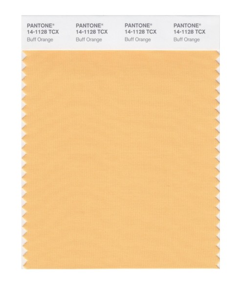 Pantone 14-1128 TCX Swatch Card Buff Orange