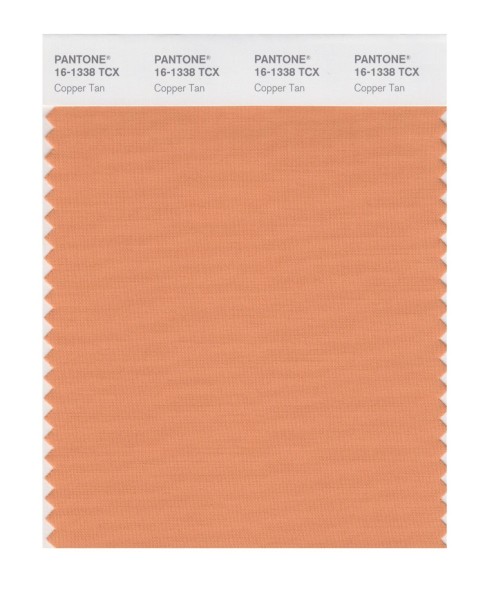 Pantone 16-1338 TCX Swatch Card Copper Tan
