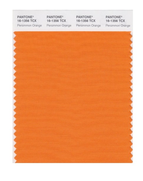 Pantone 16-1356 TCX Swatch Card Persimmon Orange