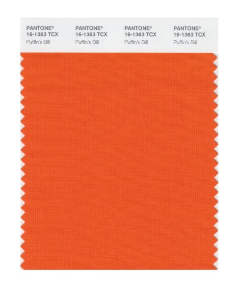 Pantone 16-1363 TCX Swatch Card Puffin's Bill