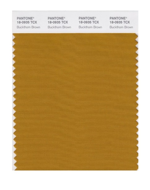 Pantone 18-0935 TCX Swatch Card Buckthorn Brown