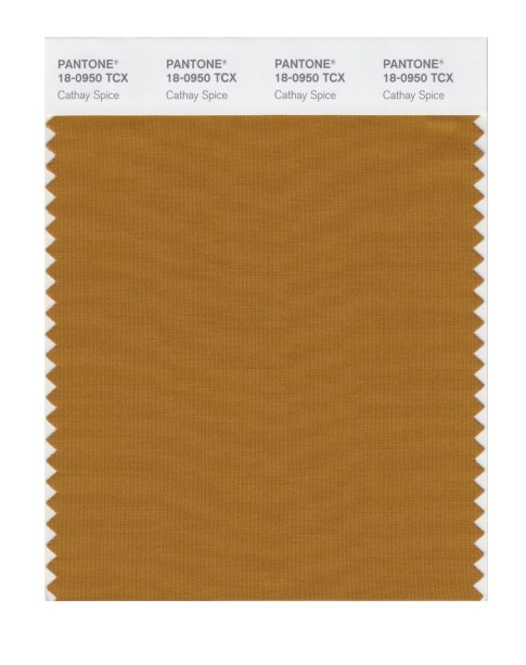 Pantone 18-0950 TCX Swatch Card Cathay Spice