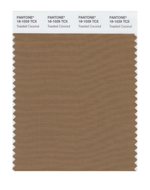 Pantone 18-1029 TCX Swatch Card Toasted Coconut