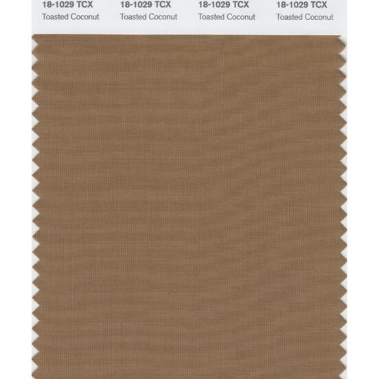 Pantone 18-1029 TCX Swatch Card Toasted Coconut