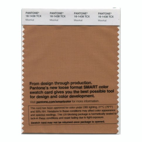 Pantone 16-1438 TCX Swatch Card Meerkat