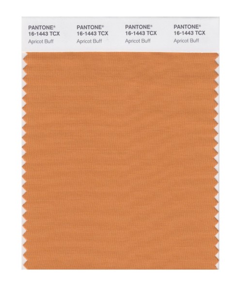 Pantone 16-1443 TCX Swatch Card Apricot Buff