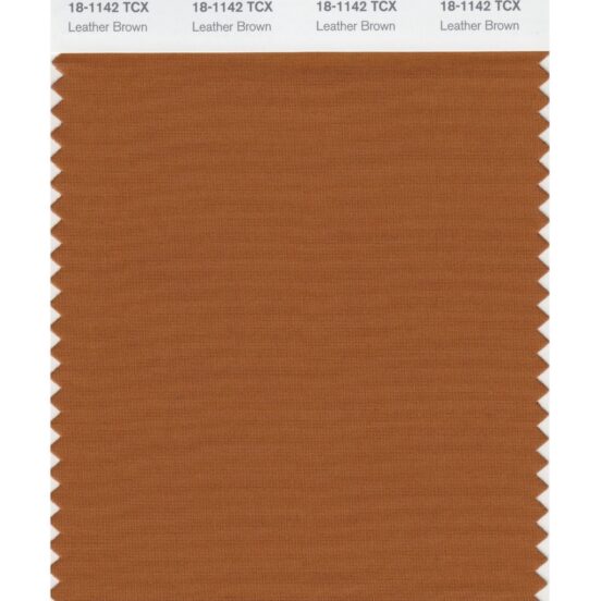 Pantone 18-1142 TCX Swatch Card Leather Brown