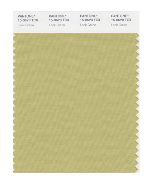 Pantone 15-0628 TCX Swatch Card Leek Green