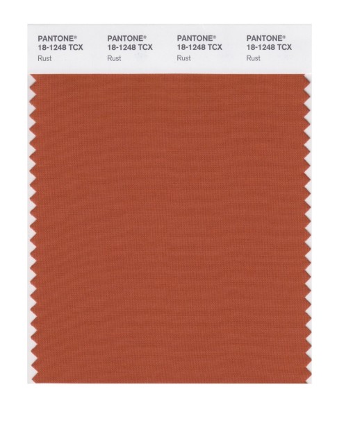 Pantone 18-1248 TCX Swatch Card Rust